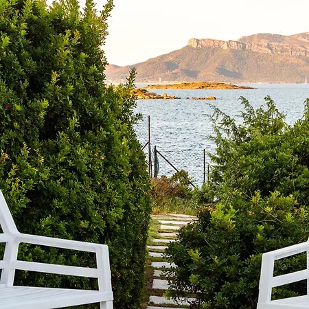 Miriam - Klodge فيلة